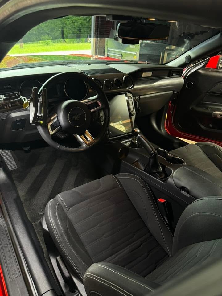 Automotive Carpet Cleaning & Carpet Stripes